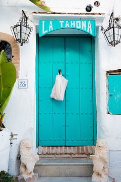 Kleurrijke deur in Frigiliana (Andalusië, Spanje)