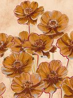 Chocolate cosmos