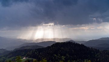 Wenn das Sonnenlicht im Schwarzwald durchbricht von elma maaskant