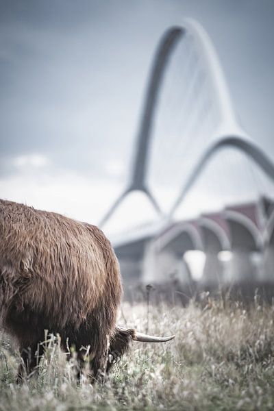 Where the city meets nature. by Nicky Kapel