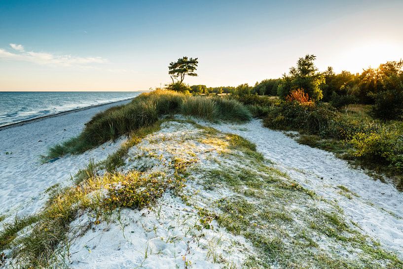 Baltic Sea Feeling by Ursula Reins