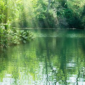 Un lac dans une forêt tropicale idyllique sur Dörte Bannasch