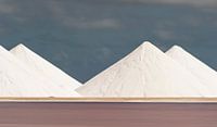 Mountains of salt von Ed van Loon Miniaturansicht