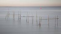 Fisching  Stellendam