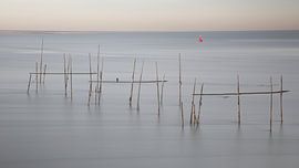 Fisching  Stellendam sur Arnold van der Borden
