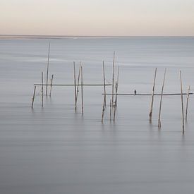 Fisching  Stellendam by Arnold van der Borden