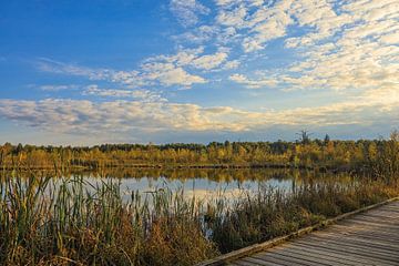 Paysage riverain du Schwenninger Moos avec chemin de planches - Bade-Wurtemberg sur BlattArt - Christine Horn