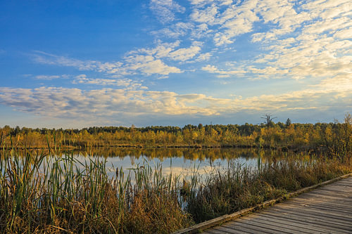 Schwenninger Moos rivierlandschap met promenade - Baden-Württemberg