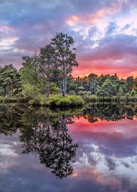 Rustig meer met bomen tijdens zonsondergang met dramatische wolken van Tony Vingerhoets