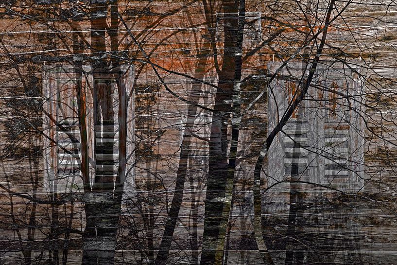houten huis in het bos met avondrood par Hanneke Luit