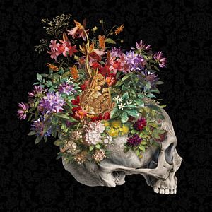 Vanitas Still Life