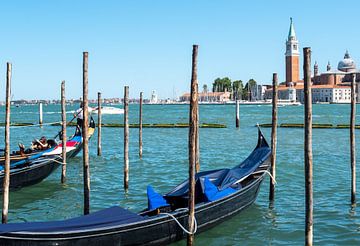 Uitzicht op het Canal Grande in Venetië Italië van Animaflora PicsStock