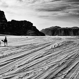 Menschen reiten auf Kamelen, morgens in Wadi Rum