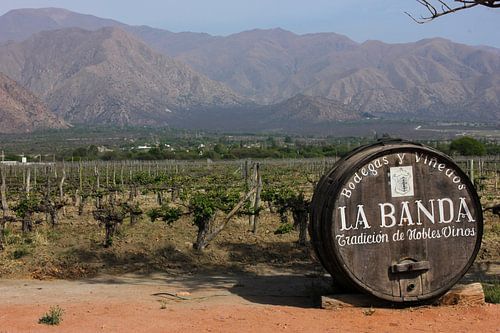 Der alte Weinbergstrog