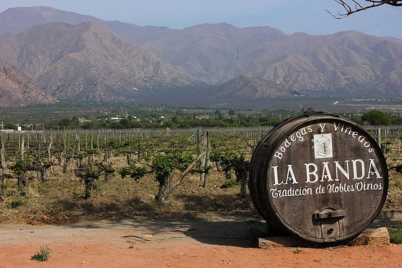 Der alte Weinbergstrog von Rominique Kea