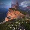 Seceda, Dolomites by Sven Broeckx