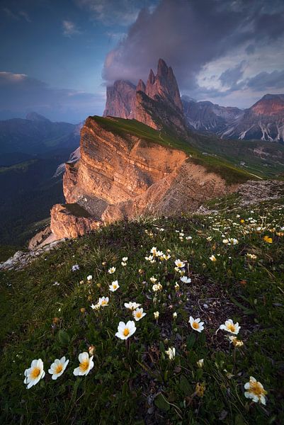 Seceda, Dolomites by Sven Broeckx
