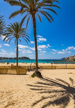 Mallorca, kustlijn baai van zandstrand in Santa Ponsa, Spanje van Alex Winter