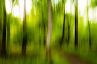 Abstract trees in spring in forest with forest path blurring by Dieter Walther thumbnail