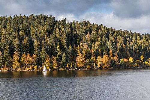Zeilboot op de Schluchsee