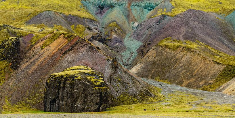 Des moutons devant les collines colorées de l'Islande par Denis Feiner
