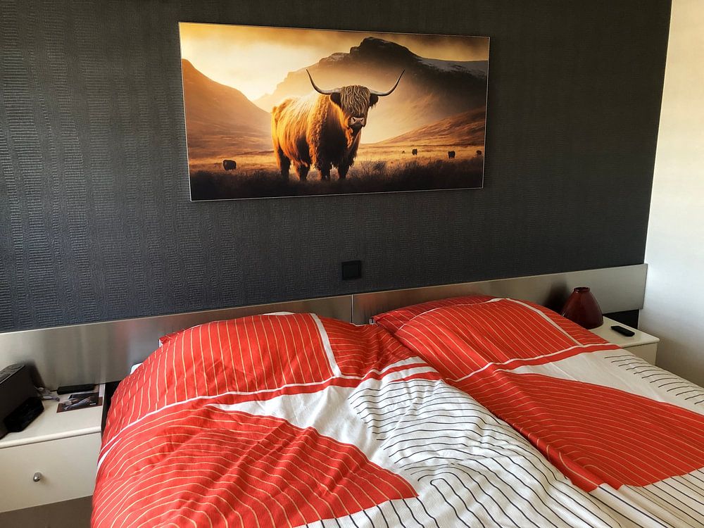 Scottish Highlander at sunset  by Vlindertuin-Art 