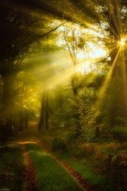 Fairytale van Arjen Uijttenboogaart