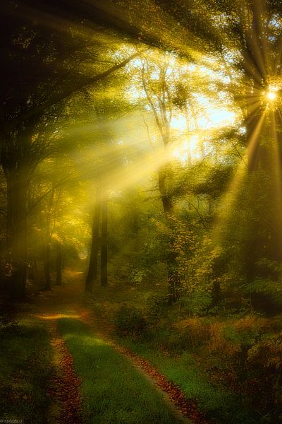 Fairytale by Arjen Uijttenboogaart