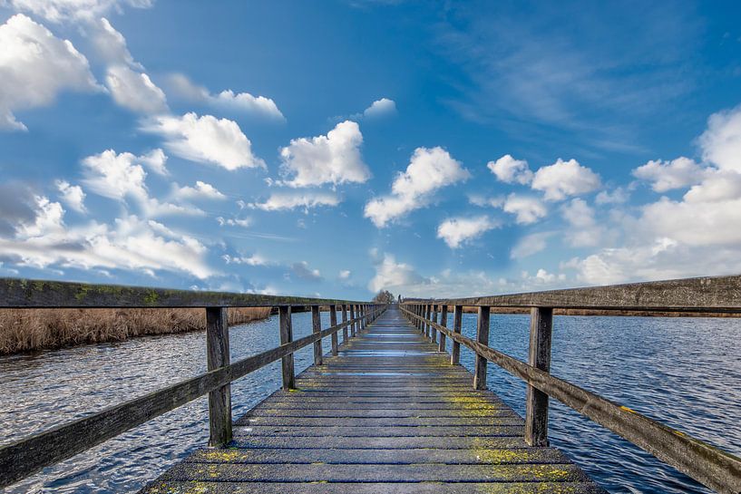 Endless by Peter Bartelings
