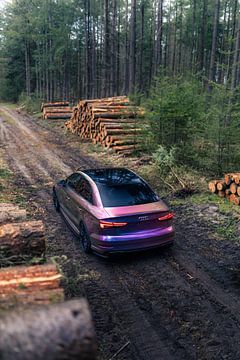 Audi RS3 in het Bos – Moderne Auto in Natuurlijke Omgeving van Sebastiaan van 't Hoog