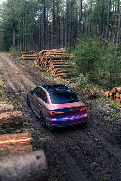 Audi RS3 im Wald Geparkt – Natur- und Automobilwandkunst von Sebastiaan van 't Hoog