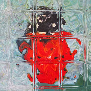 Lady Glass - handgeschilderd van QEIMOY