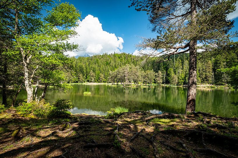 Blick auf den Moser See von Ineke Huizing