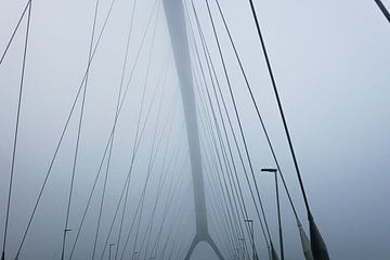 Waalbrug bij Nijmegen van Records of Mickey