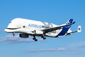 Der Airbus Beluga XL wird in Toulouse landen
