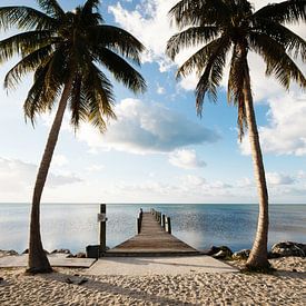 Marathon Florida Keys Amerika van Sita Koning