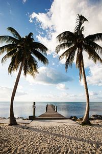 Marathon Florida Keys Amerika van Sita Koning