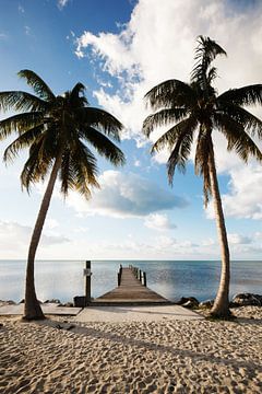 Marathon Florida Keys Amérique sur Sita Koning