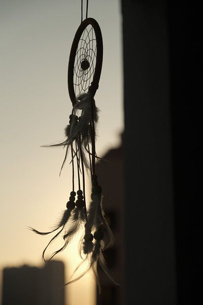 Dream Catcher by Hello Pompoyo