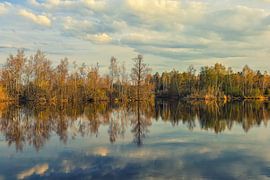Paysage riverain du Nillsee dans le Pfrunger-Burgweiler Ried près de Wilhelmsdorf - Bade-Wurtemberg sur BlattArt - Christine Horn
