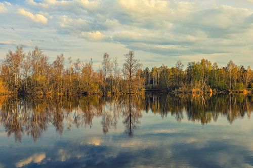 Nillsee merenlandschap in de Pfrunger-Burgweiler Ried bij Wilhelmsdorf - Baden-Württemberg