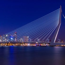 De Zwaan, Rotterdam sur Vivian van den Ende