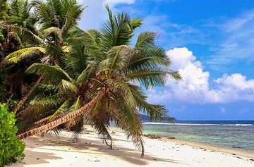 Op het tropische strand van de Seychellen in de zomer van MPfoto71