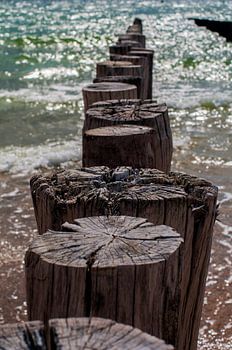 Zoutelande golfbrekers 