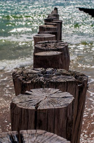 Zoutelande golfbrekers 