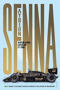 Ayrton Senna eerbetoon