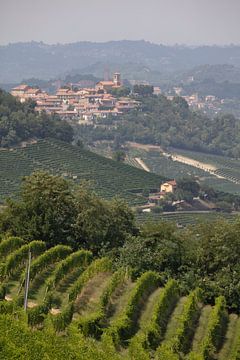 Vue sur des collines et des champs avec des vignobles Piémont, Italie