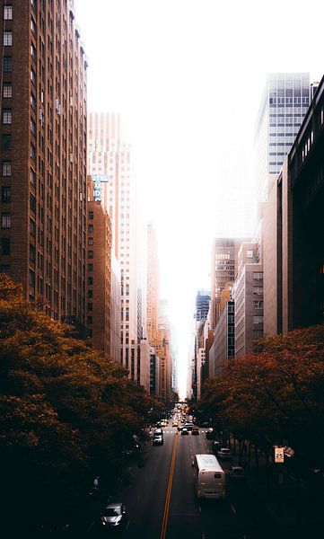 Ville de New York par Hello Pompoyo