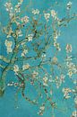 Mandelblüte (stehend) - Vincent van Gogh von Marieke de Koning Miniaturansicht
