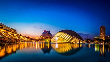 Valencia die Stadt der Künste und Wissenschaften, Spanien von Lex van Lieshout